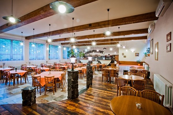 Découverte de la Cuisine Bistronomique : Une Fusion Raffinée Entre Bistrot et Gastronomie