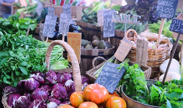 Les itinéraires incontournables pour un circuit gastronomique mémorable en France